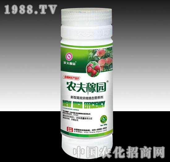 rڈ@_Ҙ䣩