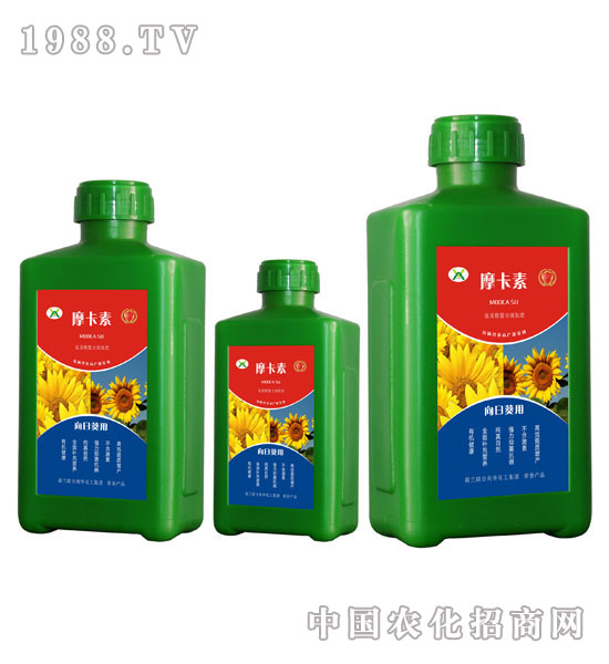 տ(zhun)ðҺķ-Ħ-(qing)о(gu)H