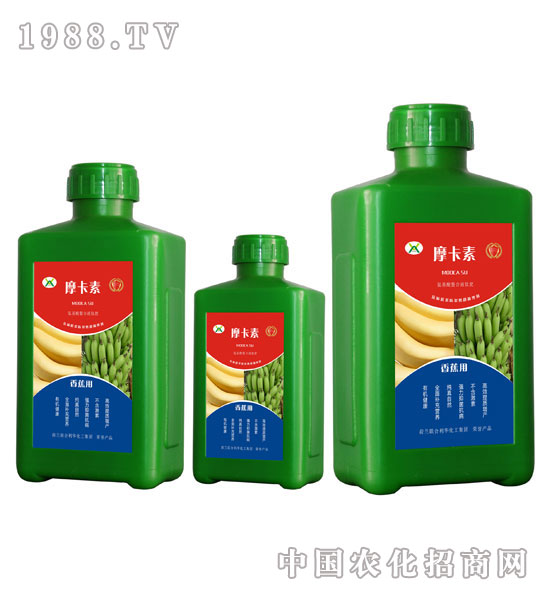 㽶ðҺķ-Ħ-(qing)о(gu)H
