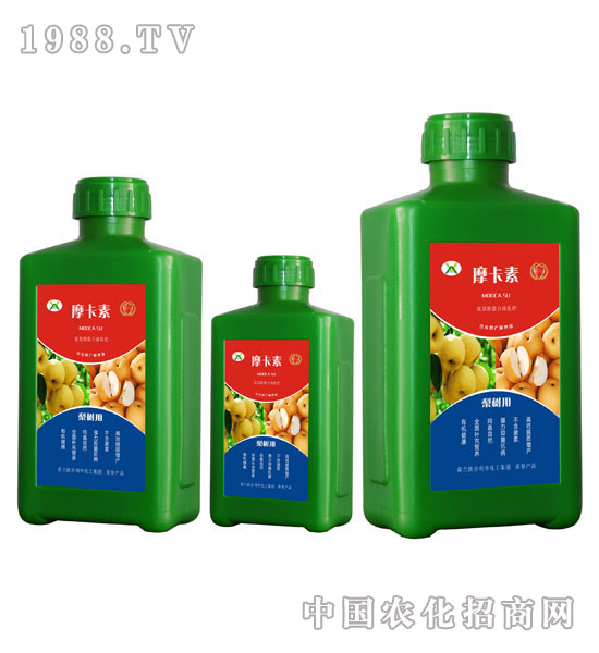 (sh)(zhun)ðҺķ-Ħ-(qing)о(gu)H