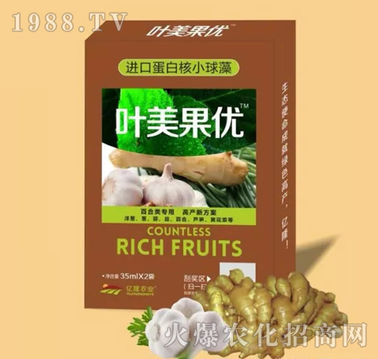 ٺ(li)(zhun){(dio)(ji)-~(yu)-|¡r(nng)I(y)