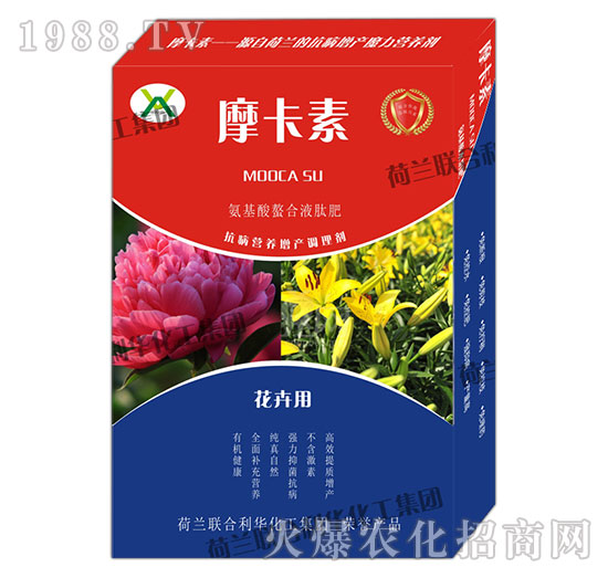 ðҺķ-Ħ-(qing)о(gu)H