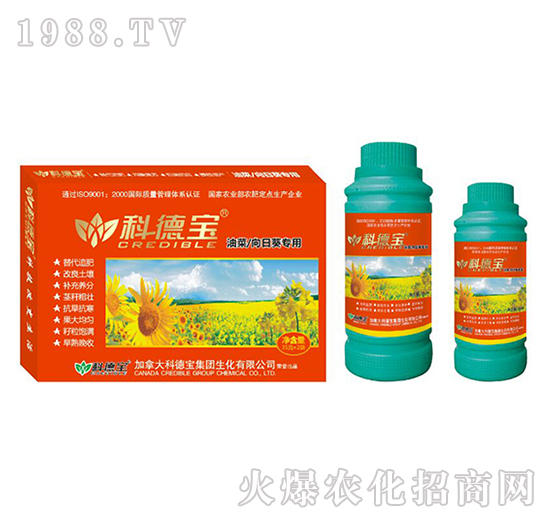 ͲտàI(yng)B(yng)a(chn){(dio)턩-Ƶ