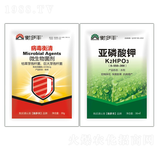 1+1BԲ(zhun)--S