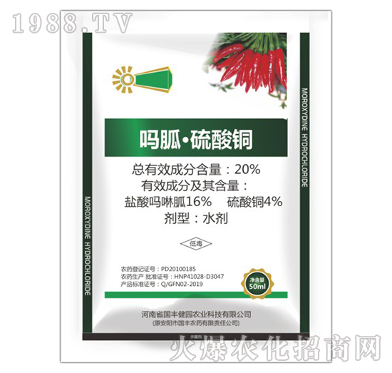20%ҡ~-(gu)S@