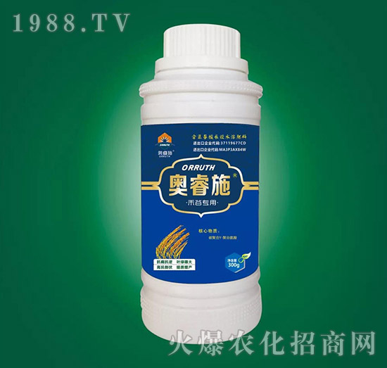 ̹Ȍ(zhun)~-Wʩ