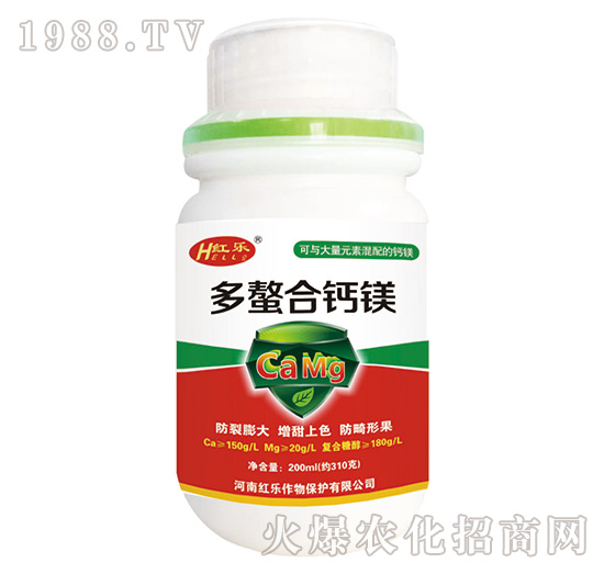 200ml}V-t(l)