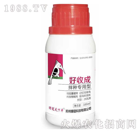 N(zhun)-ճ-G