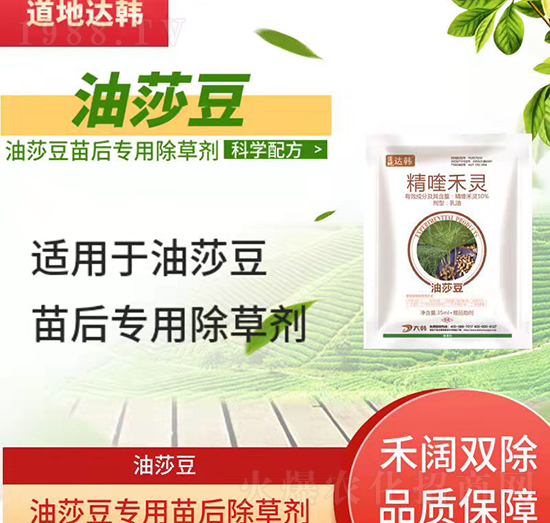 油莎豆除草劑-油莎豆苗后-油莎豆專(zhuān)用-大韓
