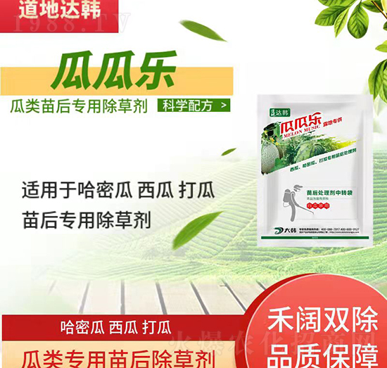 (li)݄-(li)-(li)(zhun)-ϹϘ(l)-n