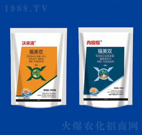 50%p ցȽO ȽW(xu)