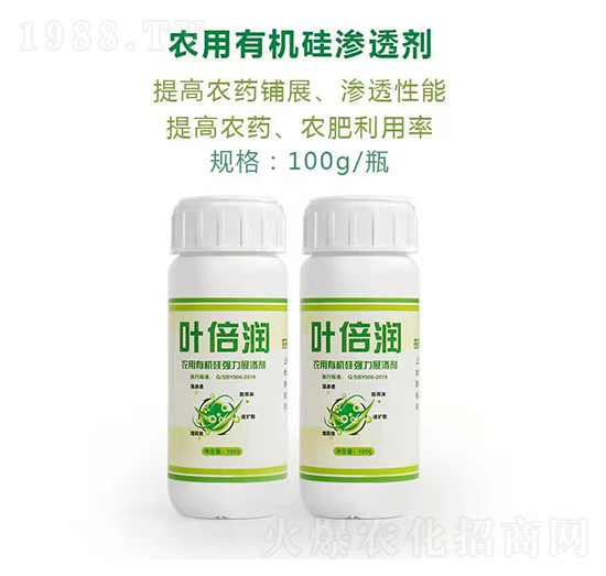 100grЙC菊չ?ji)B ~ h
