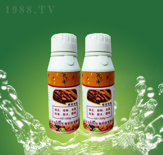o(zhun)-ͮ