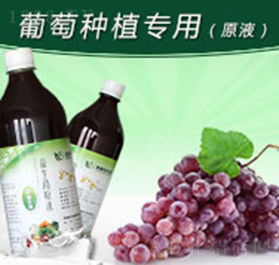 ѷNֲ(zhun)ԭҺ-G
