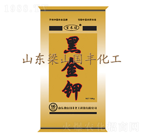 ڽ-SʘI(y)