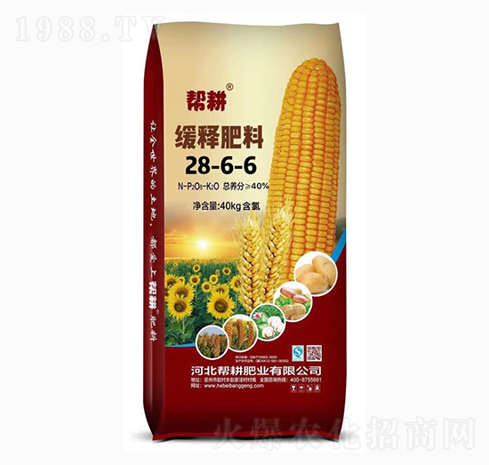 ጷ28-6-6-͸ʘI(y)