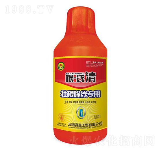 Ѹ(xin)(zhun)-(xin)-t