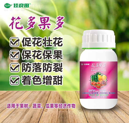 0-500-600+TE-(rn)z