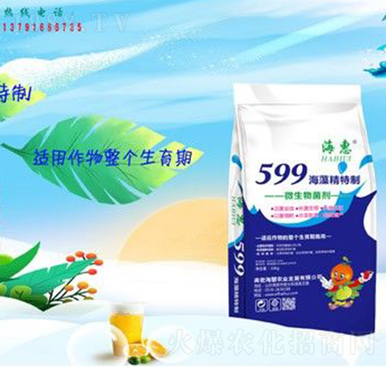 599徫-