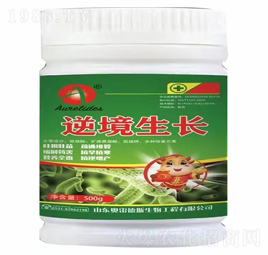澳L(zhng)-W׵˹