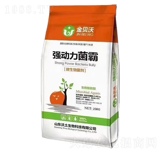 (qing)-ؐ-