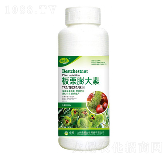 أ500g--sҫrI(y)