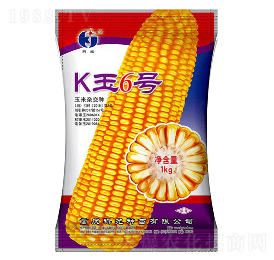 K6̖-ƹN