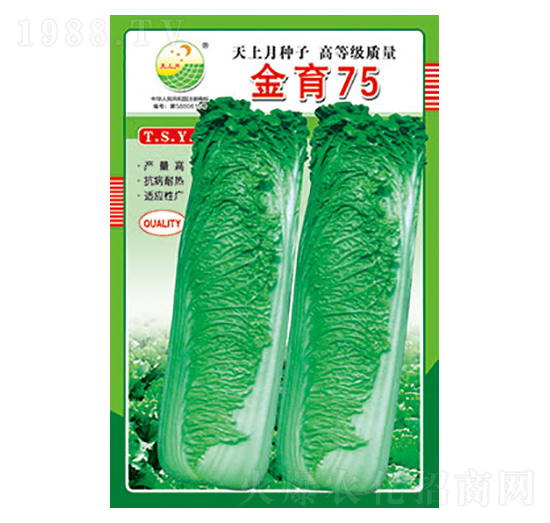 ײ˷N-75-̫(l)NI(y)