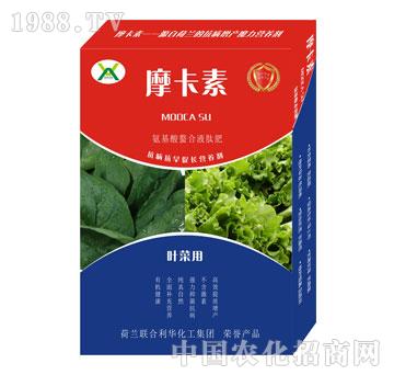 ~ˌ(zhun)ðҺķ-Ħ-(qing)о(gu)H