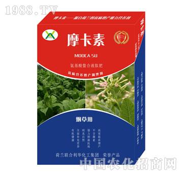 ݌(zhun)ðҺķ-Ħ-(qing)о(gu)H