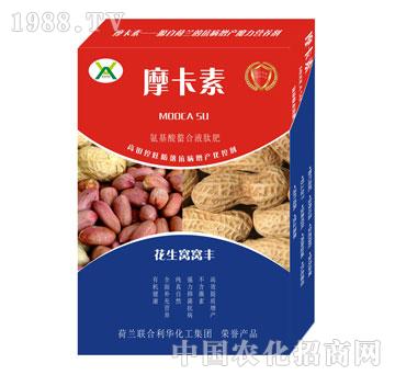 CCSҺķ-Ħ-(qing)о(gu)H