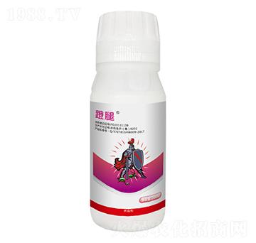 5%x(chng)--r(nng)
