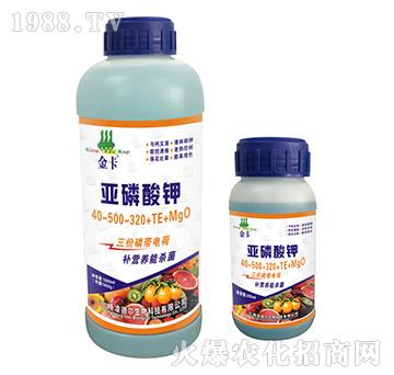 亞磷酸鉀40-500-320+TE+MgO-金卡-德?tīng)柹? />
</div>
</div>
<style type=