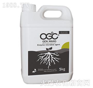 ΢-OGC-(yng)G
