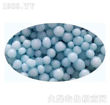 wƷ11-(zhn)طʘI(y)