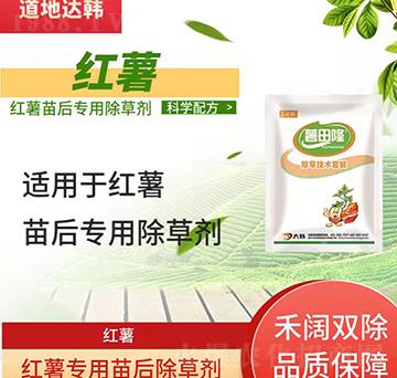 t݄-t-t팣(zhun)-n