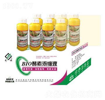 BIO؝sҺ-_(d)S