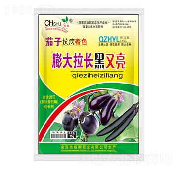 L(zhng)-˲