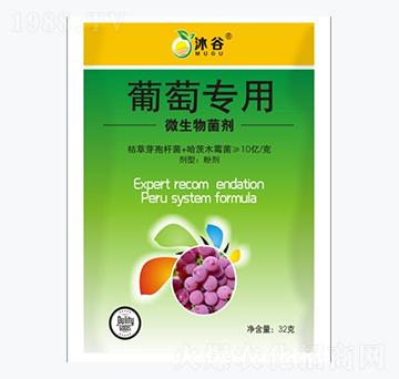 ь(zhun)΢-