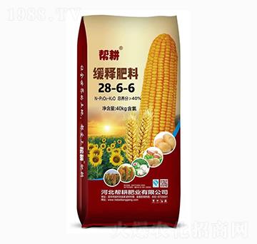 ጷ28-6-6-͸ʘI(y)