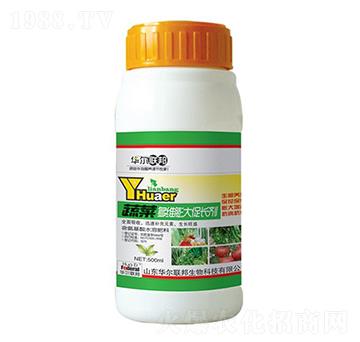 ߲˶SL(zhng)-A
