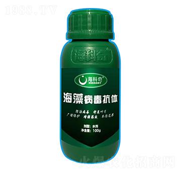 岡w-