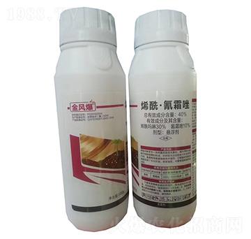 40%ϩ˪Ҹ500g-L(fng)-G