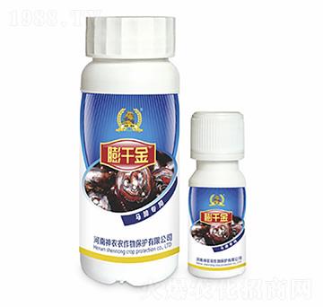 R㌣(zhun)~-ǧ-r(nng)