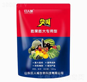 (zhun)͛_ʩ--˳