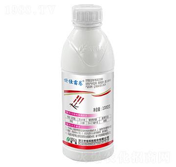 24%x(chng)1000g-׾-