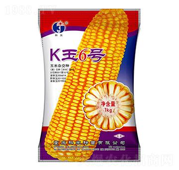 K6̖(ho)-ƹN