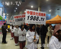 1988.TV(zhn)oֹ