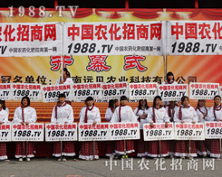 2013r(nng)ˎ(hu)D^Сꖂ
