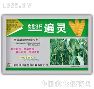 A(qing)-։Ѷһ`